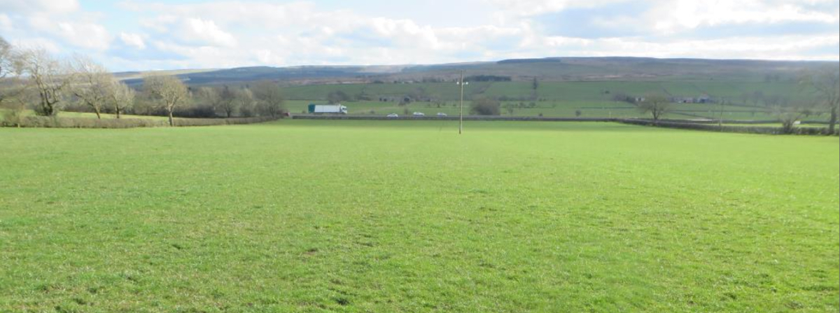 Site 3 year 1 growth