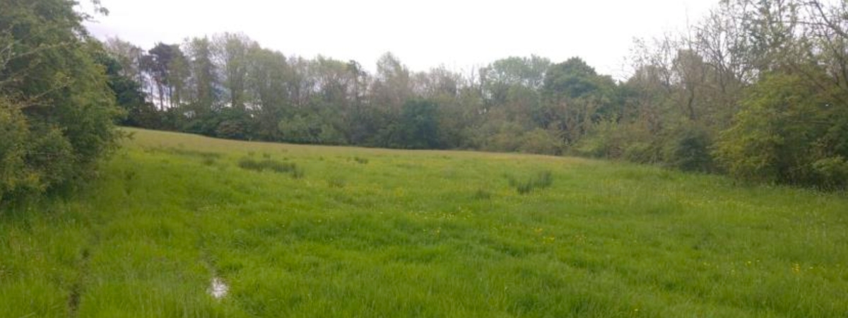 Site 2 existing