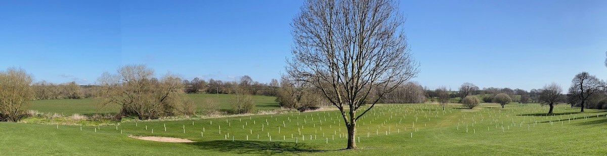 woodland