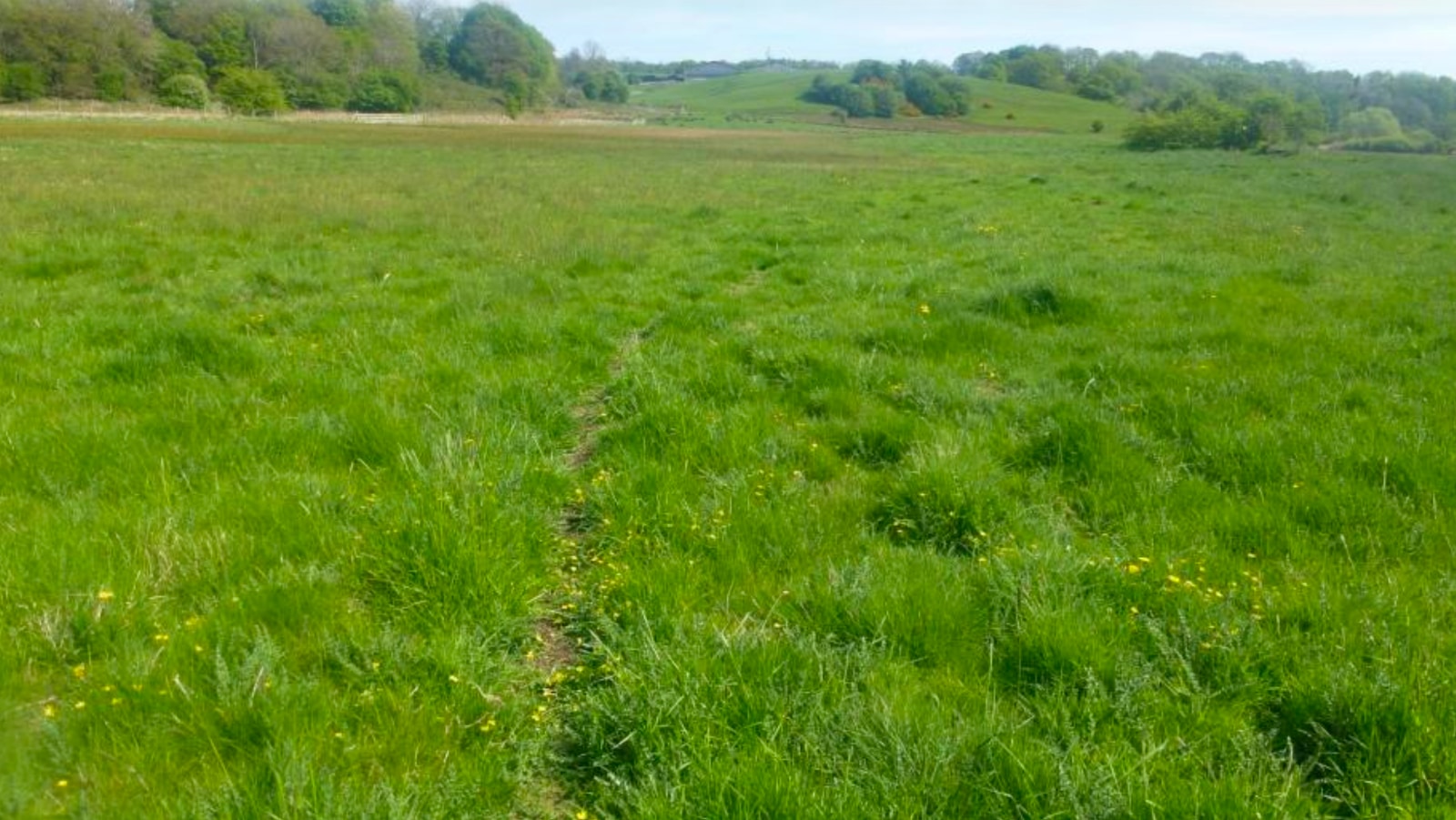 Site 1 existing Site 1 existing