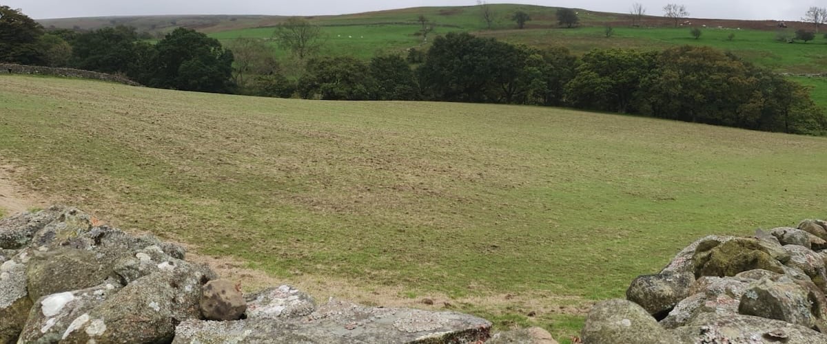 Site